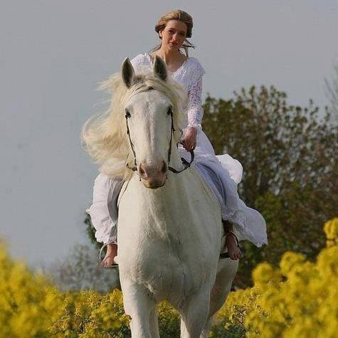 cavalgar a caballo
